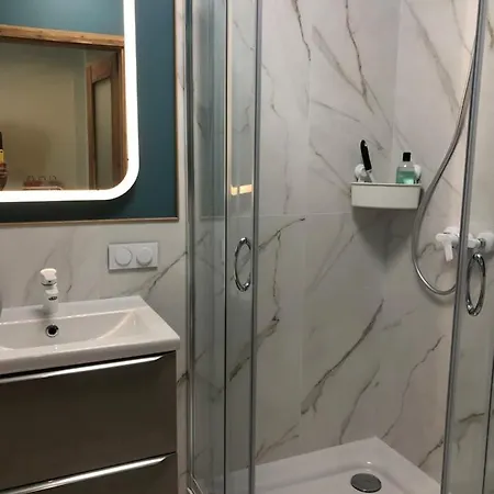 아파트 Rybaki 28 포즈난